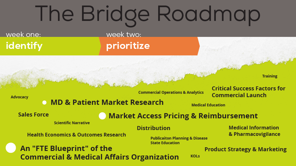 Bridge Roadmap Week 2